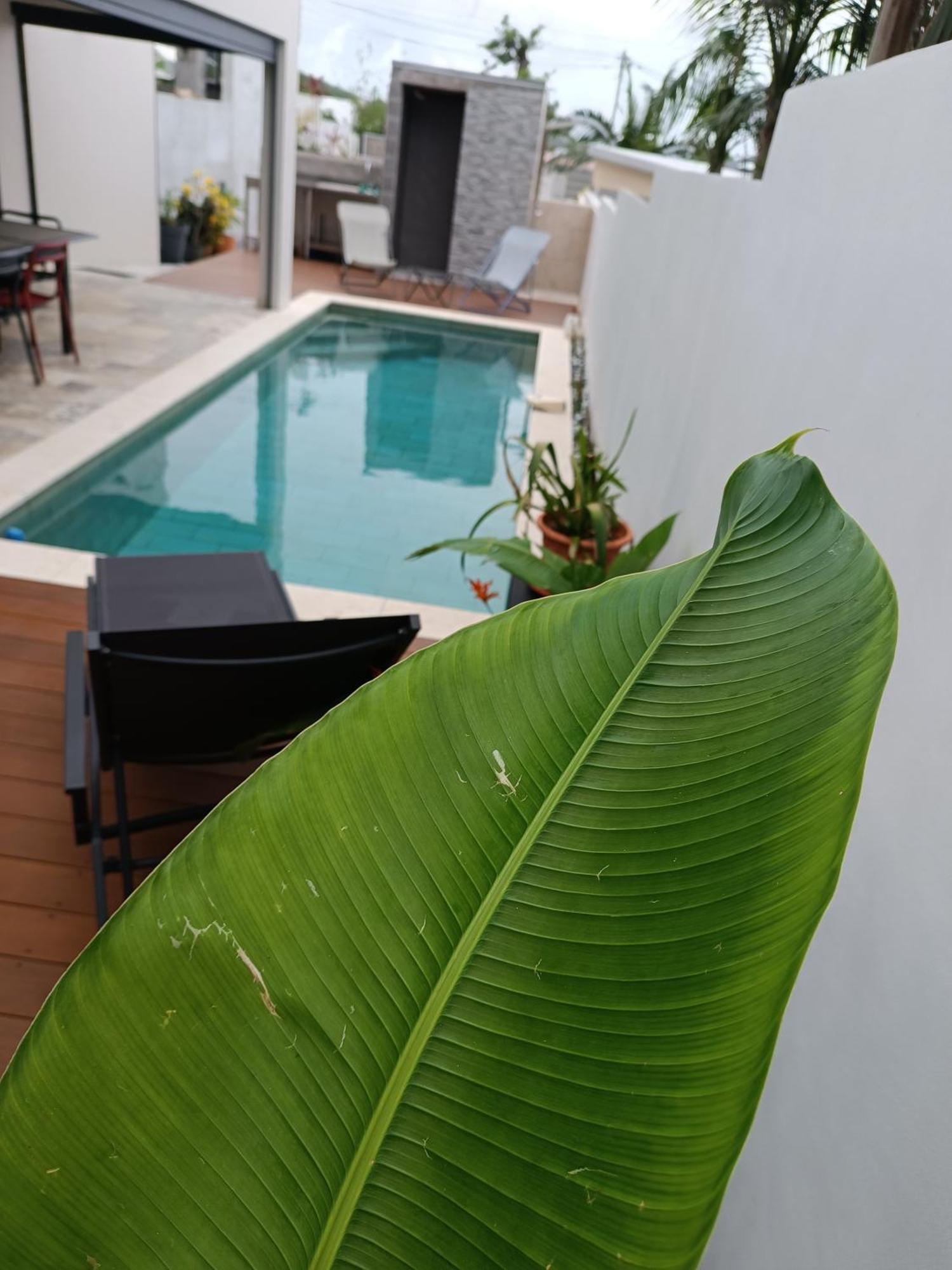 Villa O'Lhaya Piscine Pivee Saint-Joseph Extérieur photo