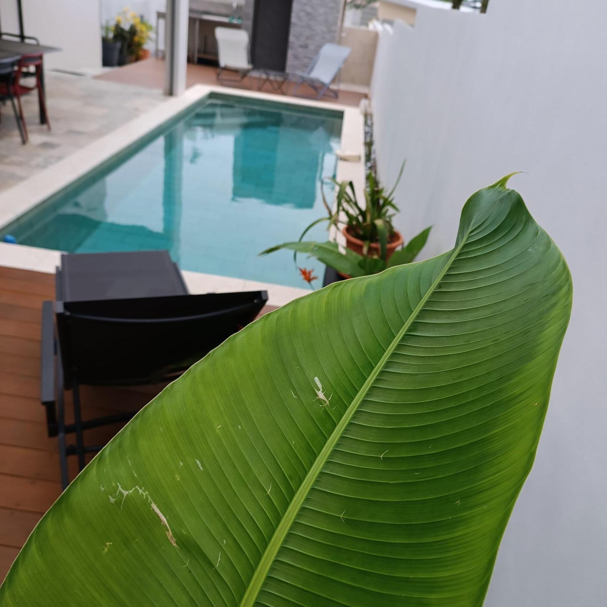 Villa O'Lhaya Piscine Pivee Saint-Joseph Extérieur photo