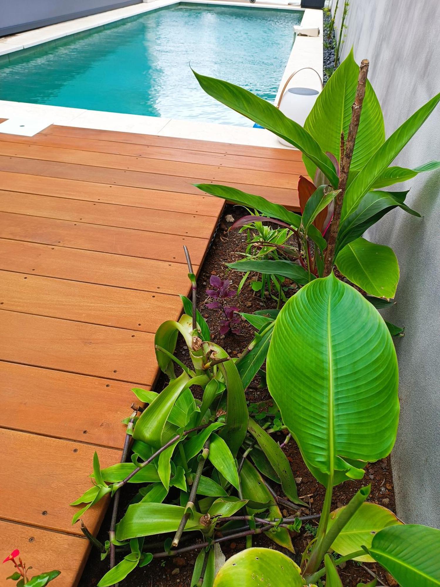 Villa O'Lhaya Piscine Pivee Saint-Joseph Extérieur photo