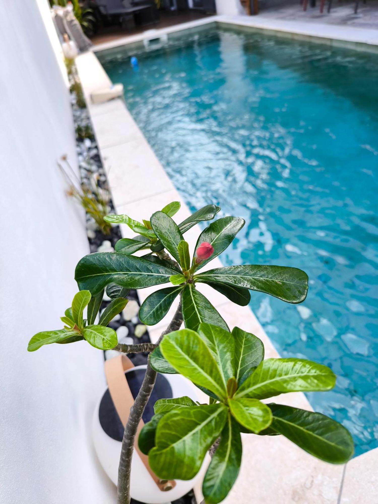 Villa O'Lhaya Piscine Pivee Saint-Joseph Extérieur photo